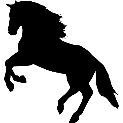 Horse Jumping Silhouette icons