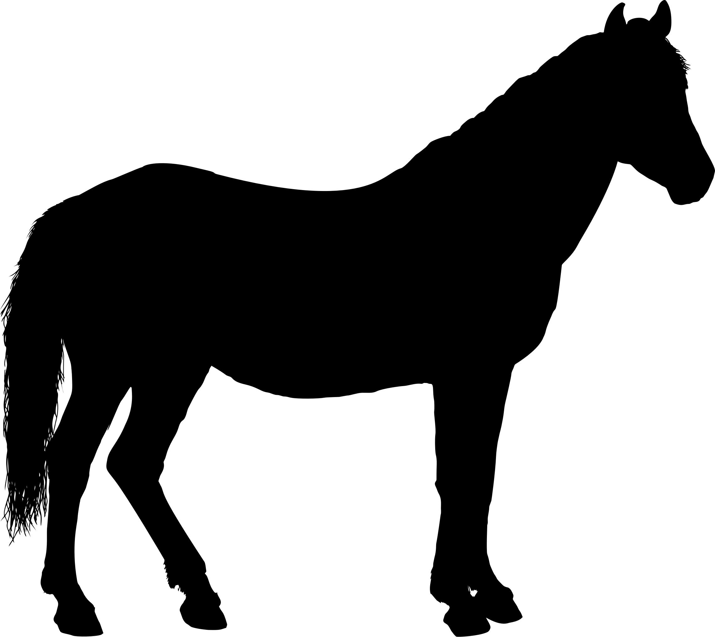Horse Silhouette png icons