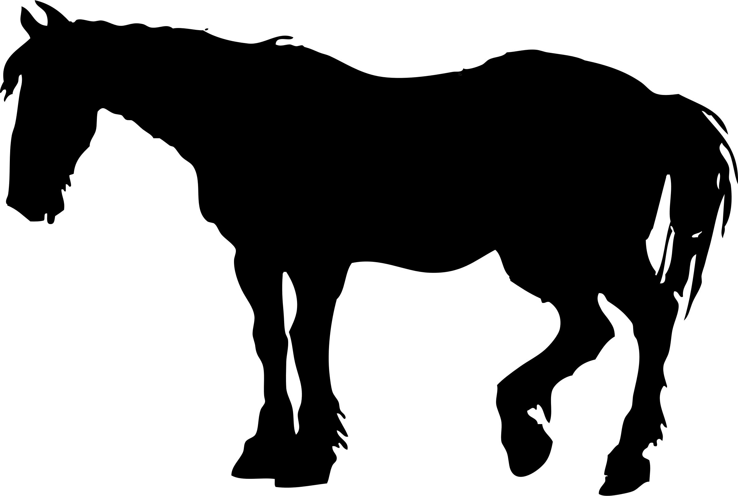 Horse silhouette PNG icons