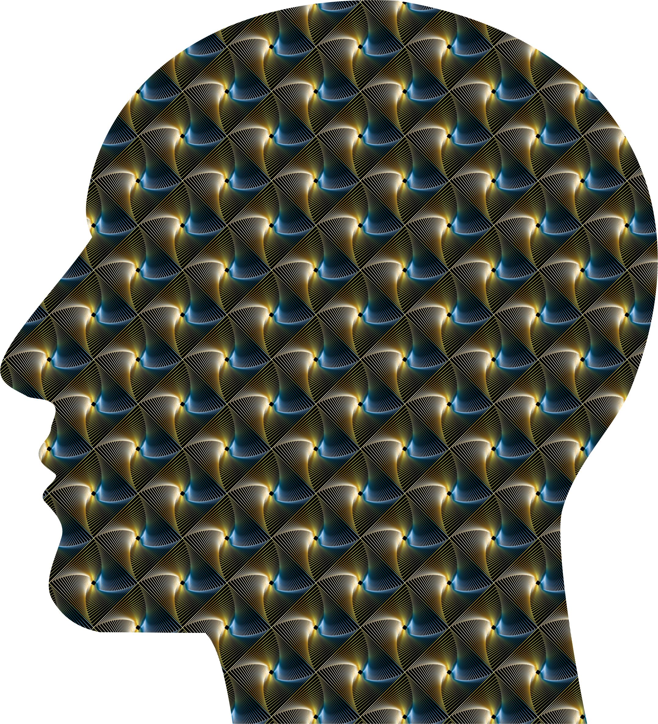Human Head Filled With Emptiness png