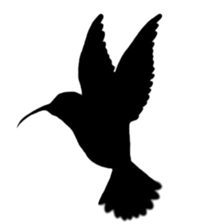 Hummingbird icons