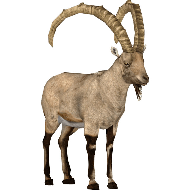 Ibex png icons