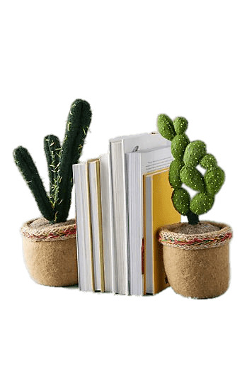 Imitation Succulent Bookends icons