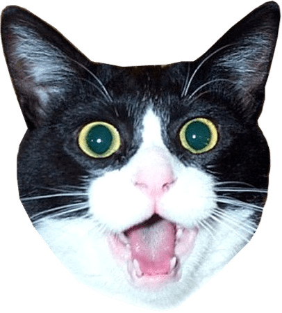 Impressed Cat Head Meme icons