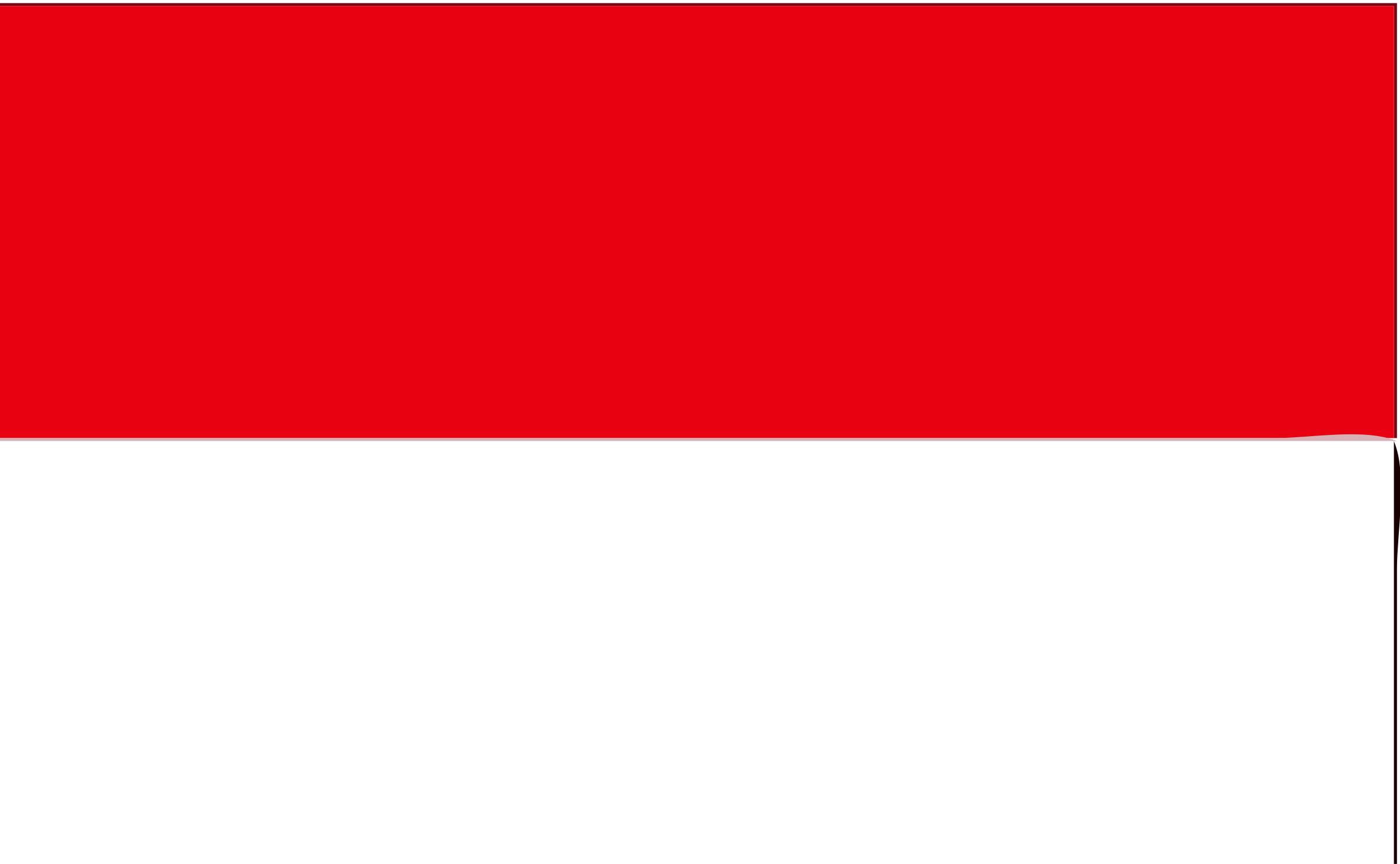 Indonesia Flag PNG icons