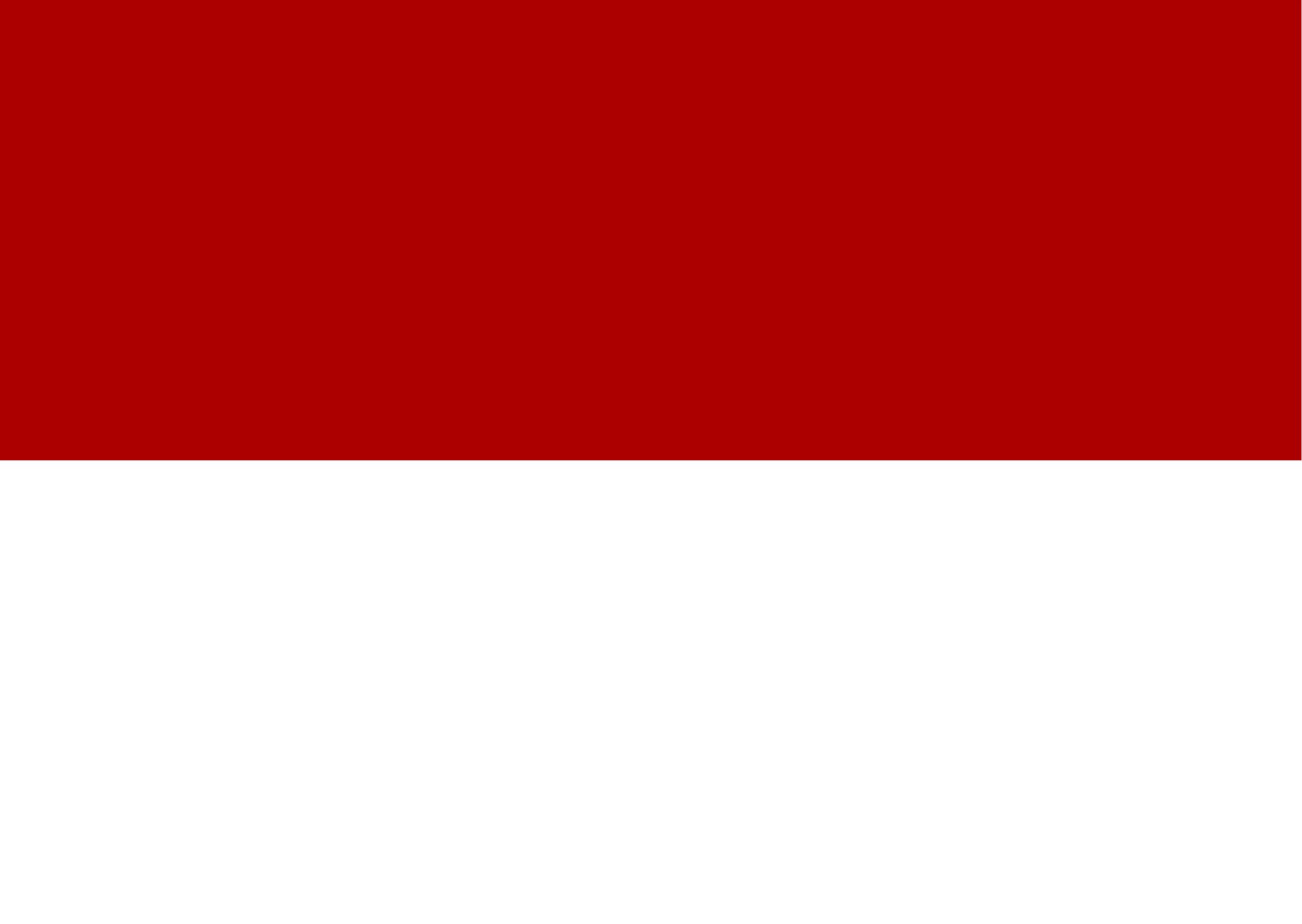 Indonesian Flag png