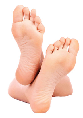 Isolated Feet Legs png icons