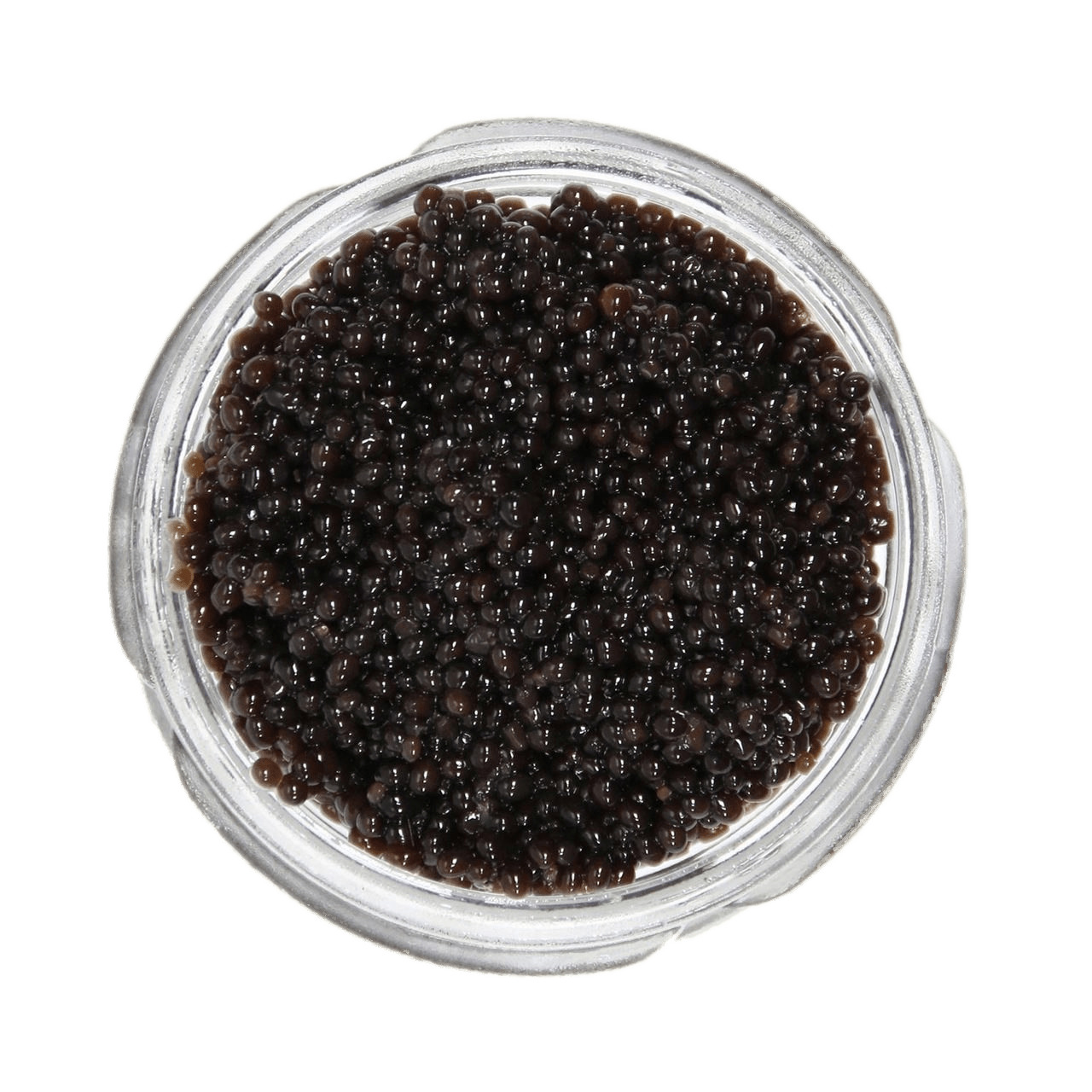 Jar Of Caviar png icons