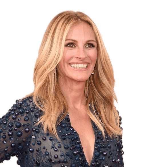 Julia Roberts Blond Hair png icons
