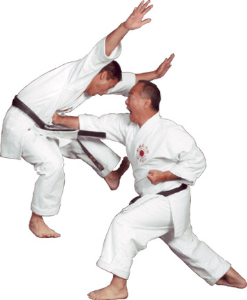 Karate Fighters icons