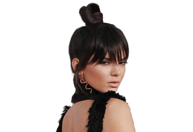 Kendall Jenner With Top Knot icons
