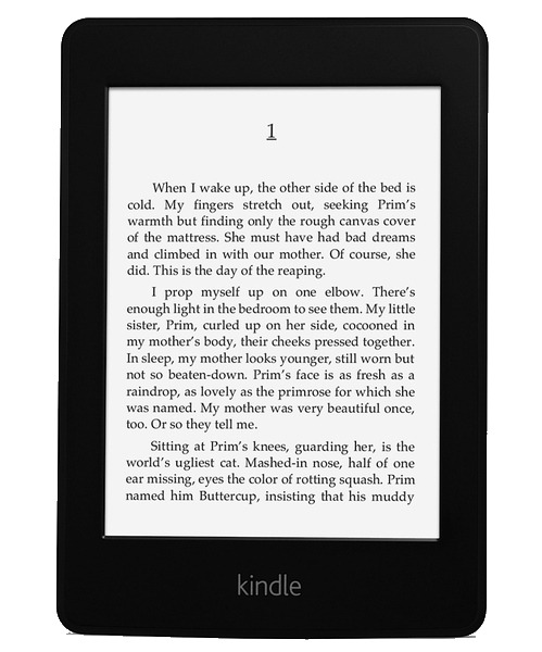Kindle Paperwhite icons
