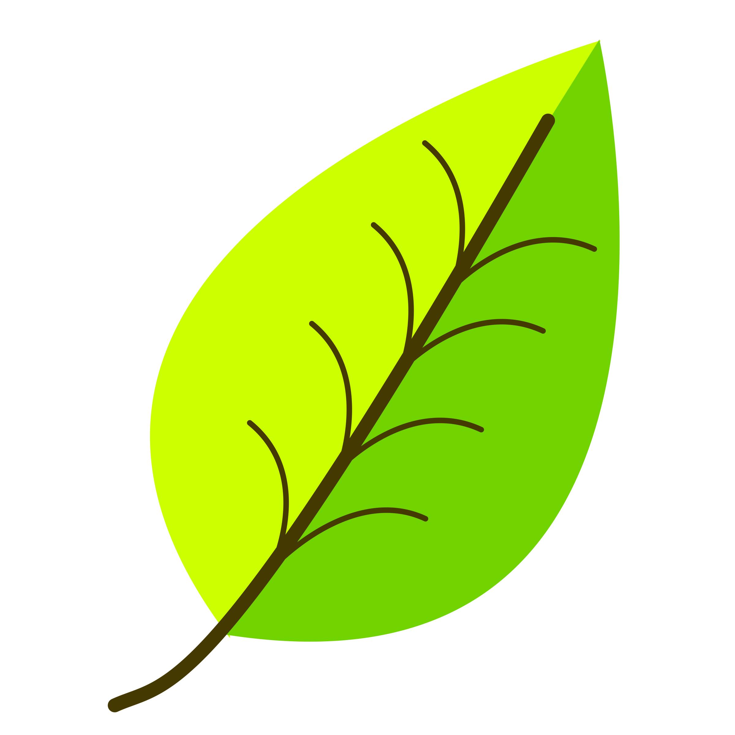 Leaf- with venation, two color. PNG icons