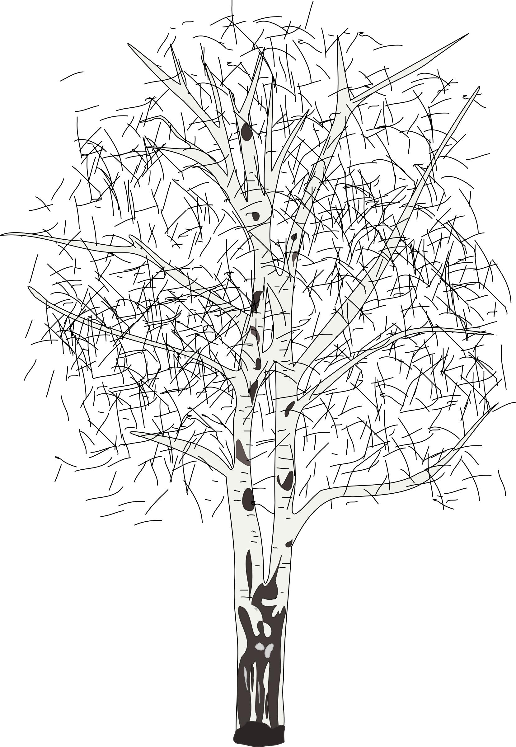 leafless birch png