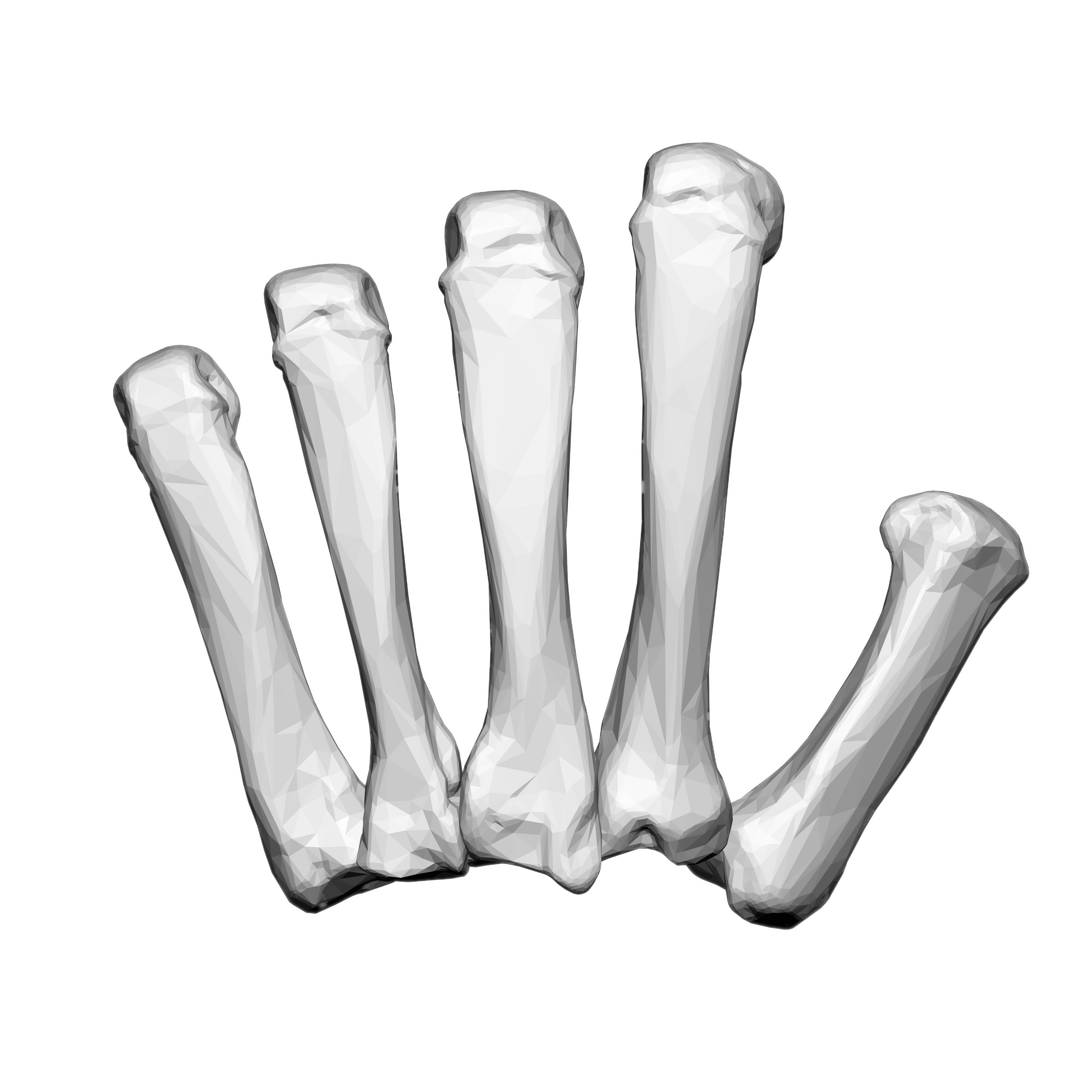 Left Hand Carpal Bones icons