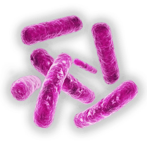 Legionella Bacteria png icons