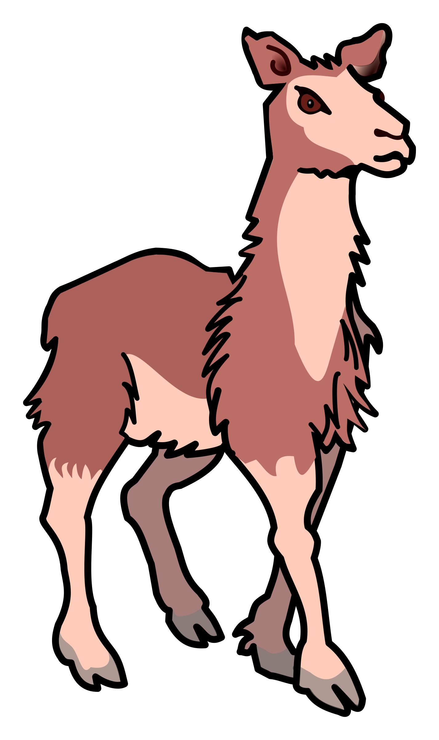 llama - coloured png