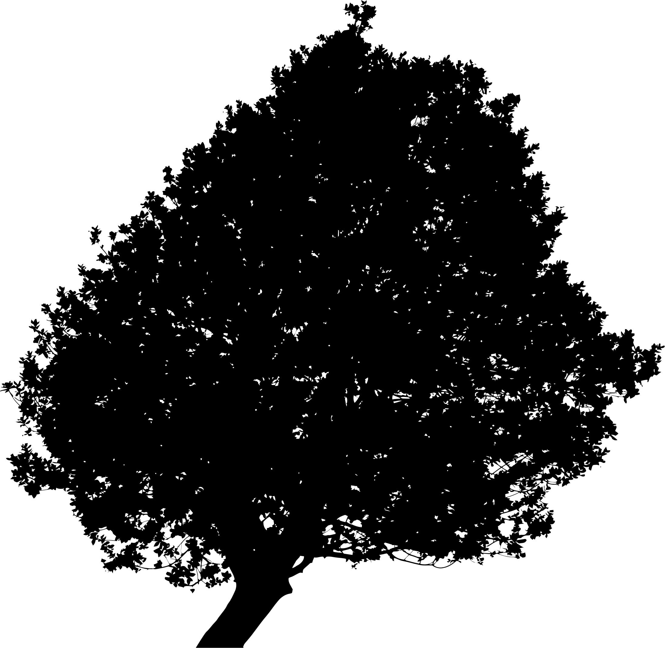 Lonely Tree Silhouette 2 Minus Ground png