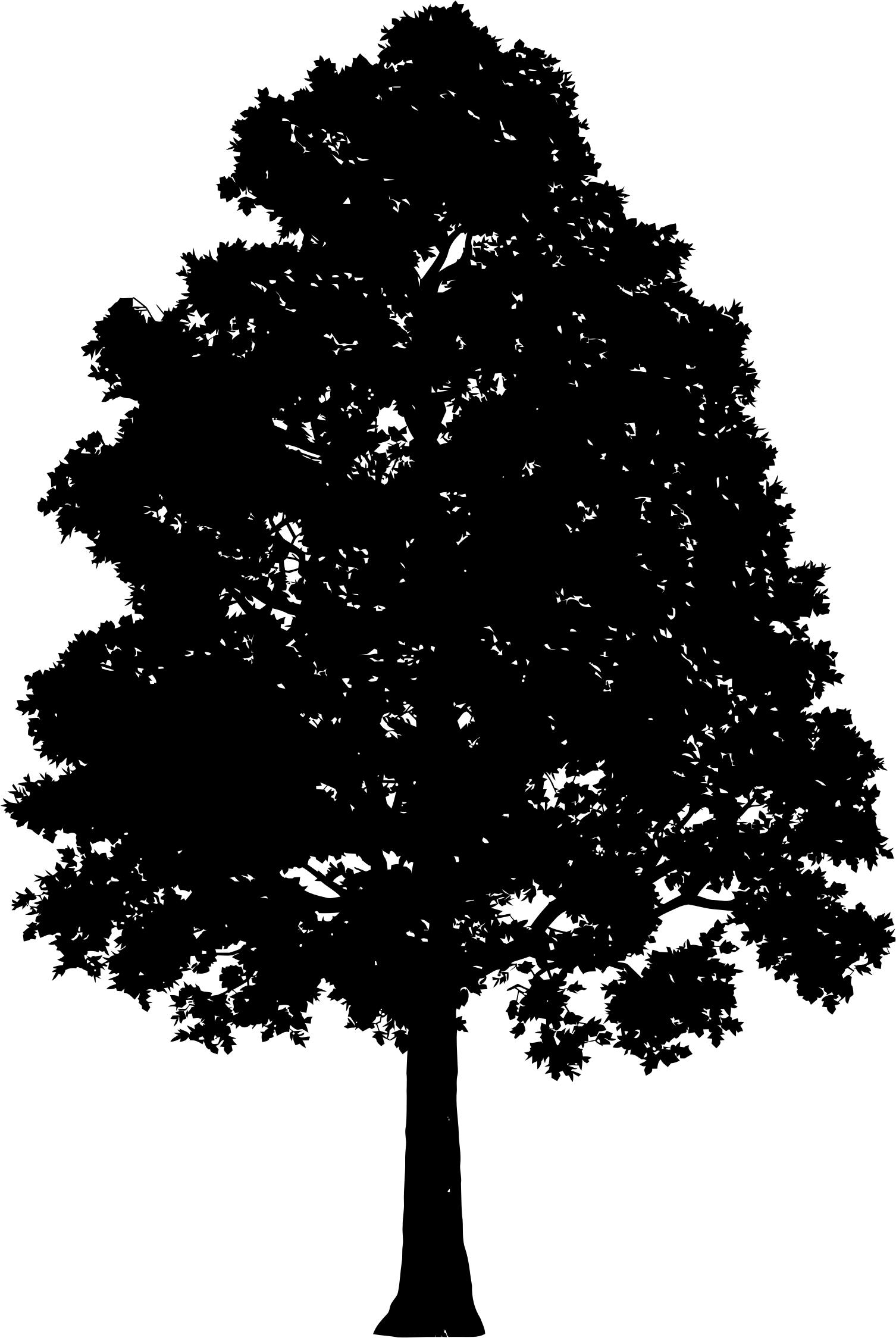 Lonely Tree Silhouette 4 png