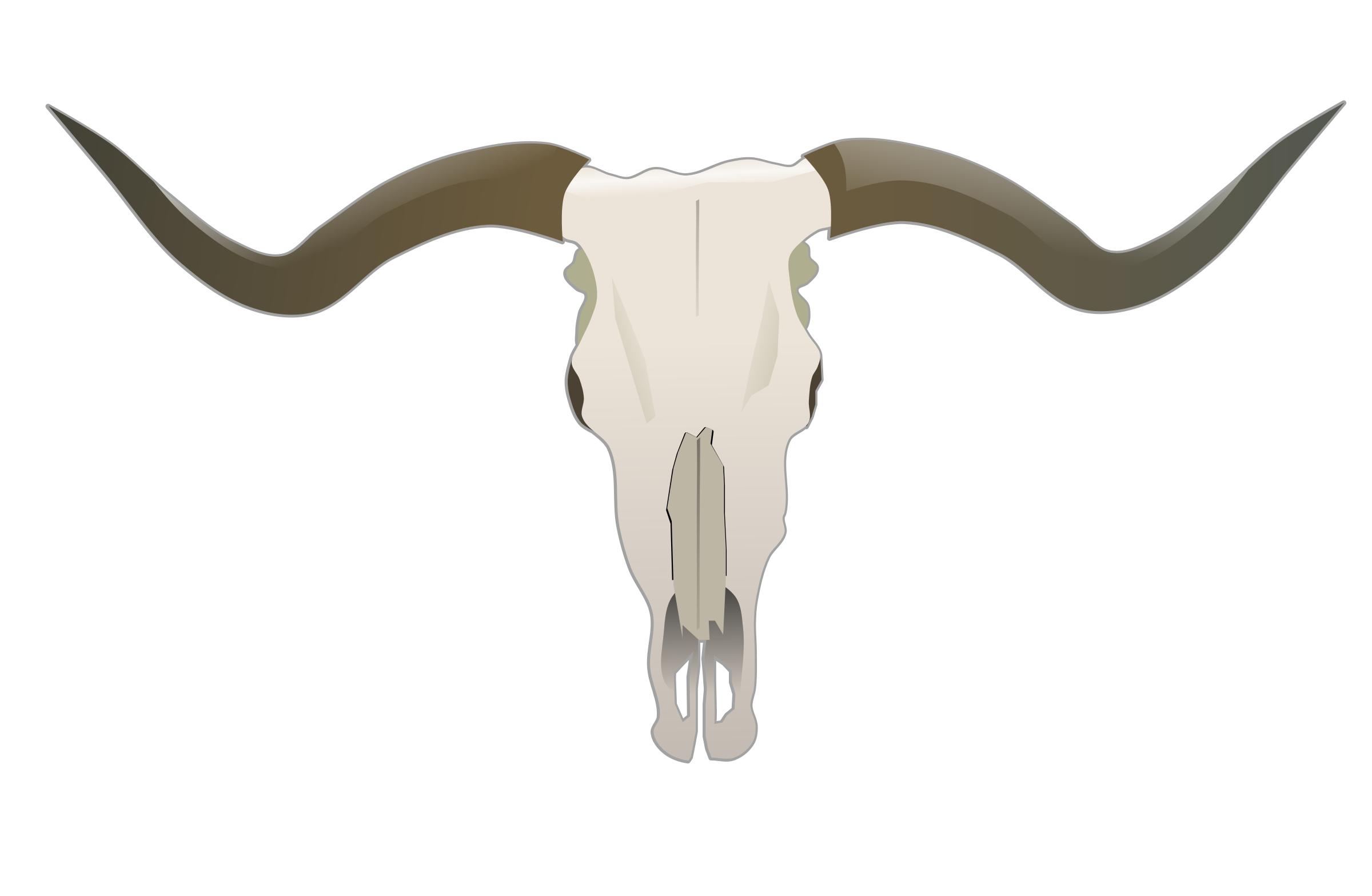 Longhorn Skull png