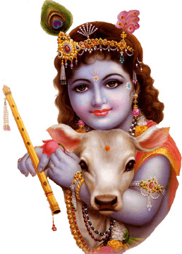 Lord Krishna Close Up icons