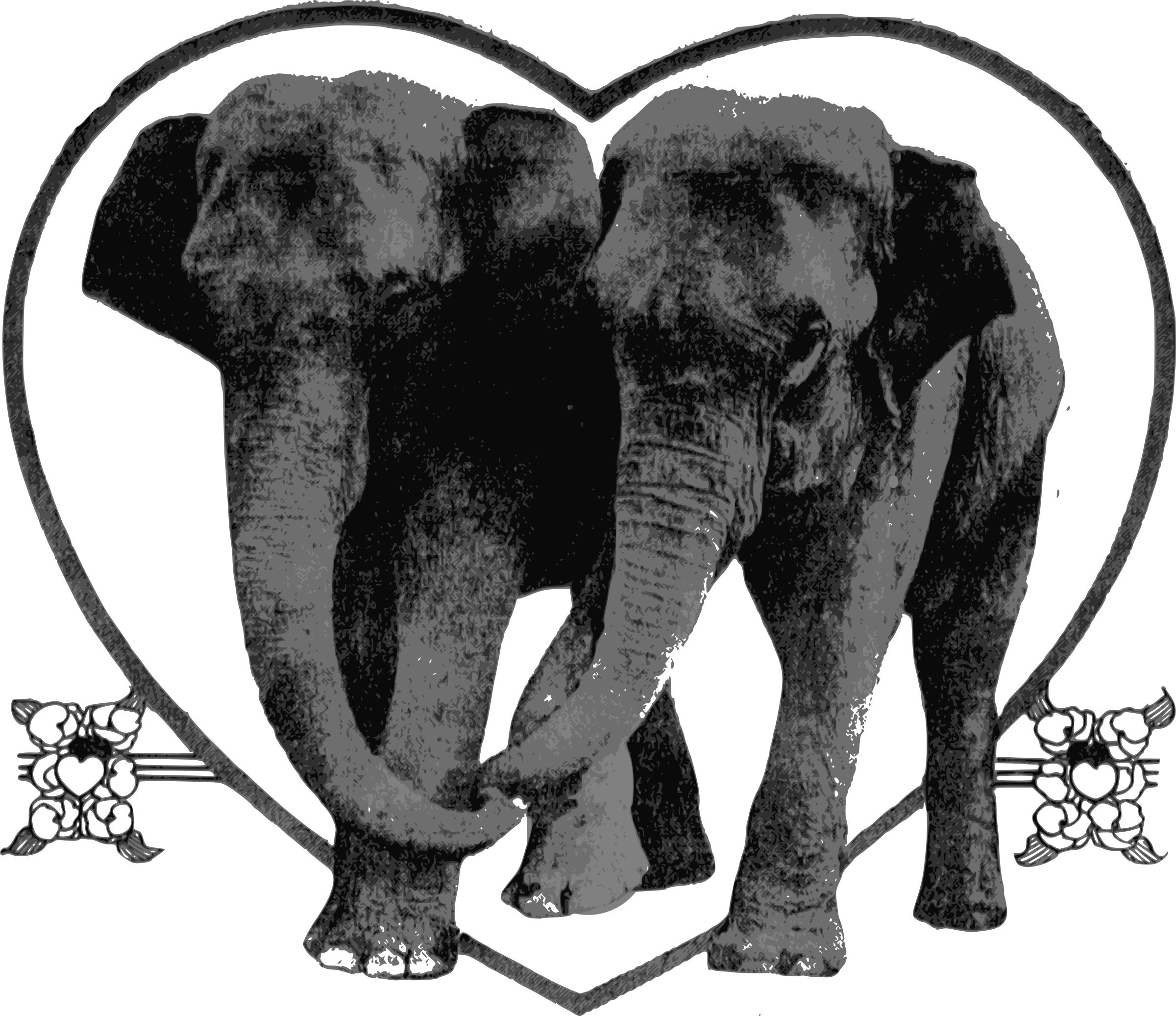 Lover Elephants png