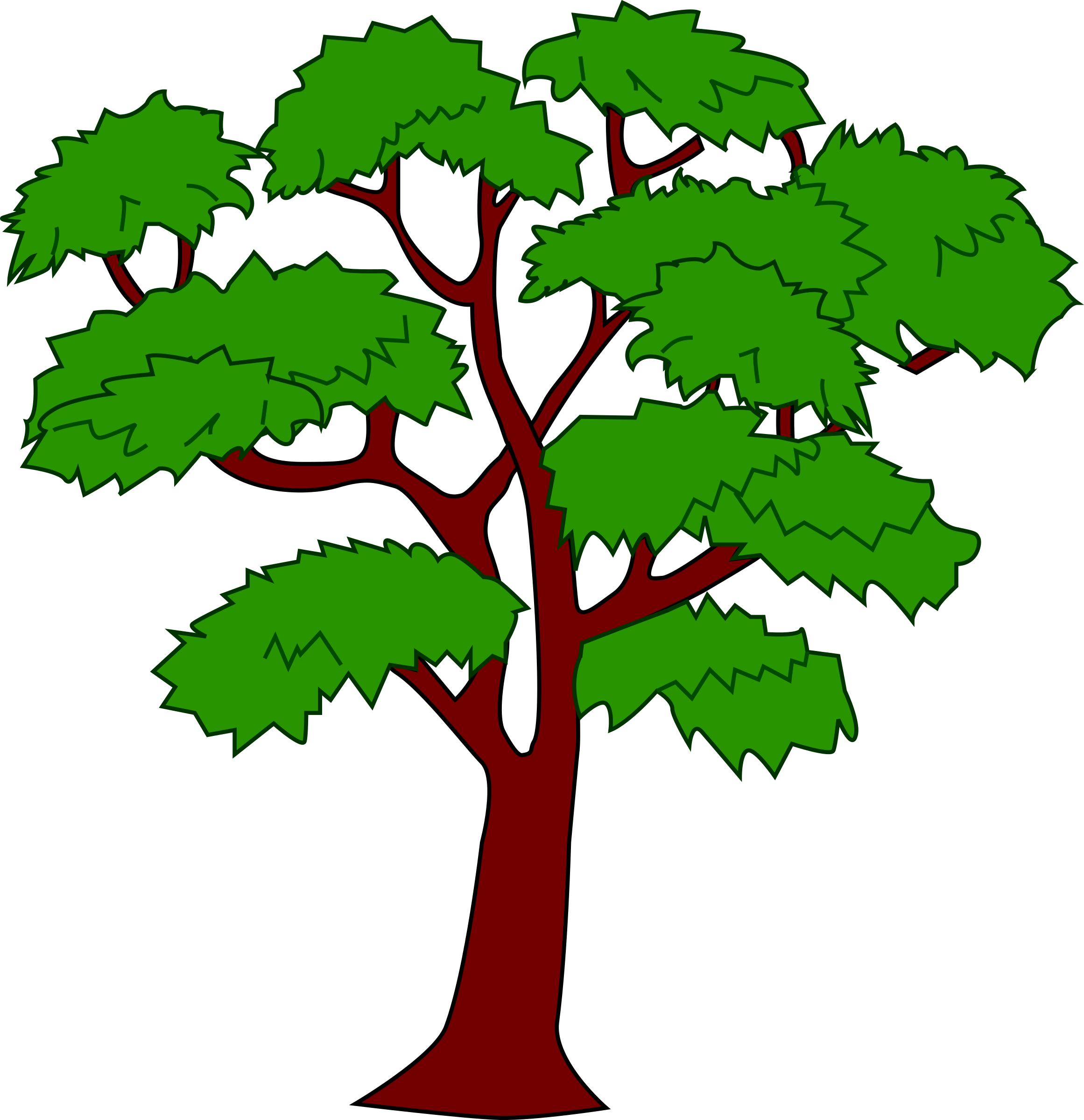 Mahogany tree png