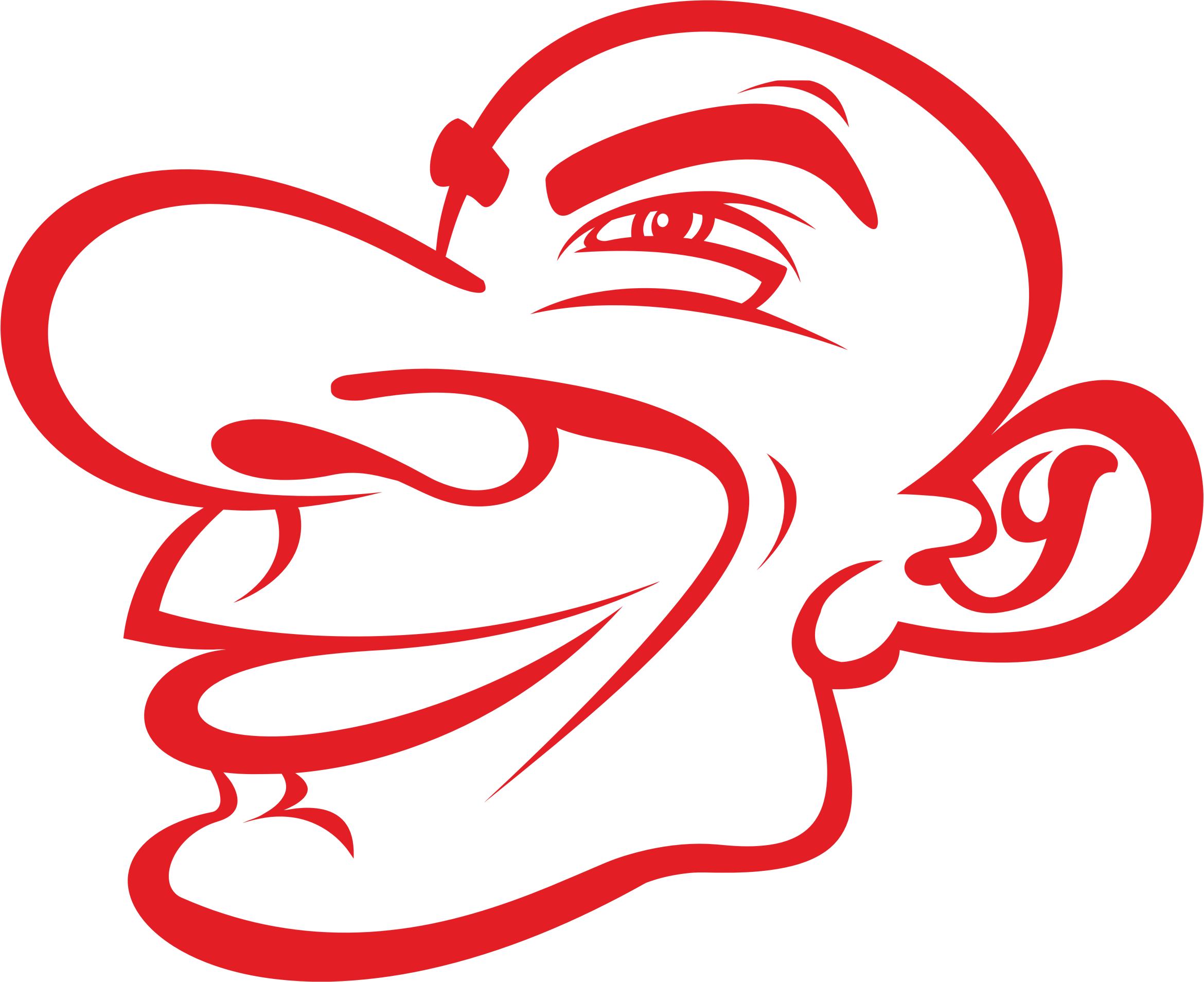 Man's Face Caricature png