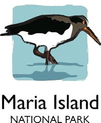 Maria Island National Park icons