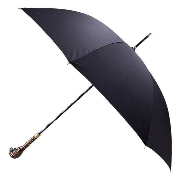 Mary Poppins' Umbrella png icons