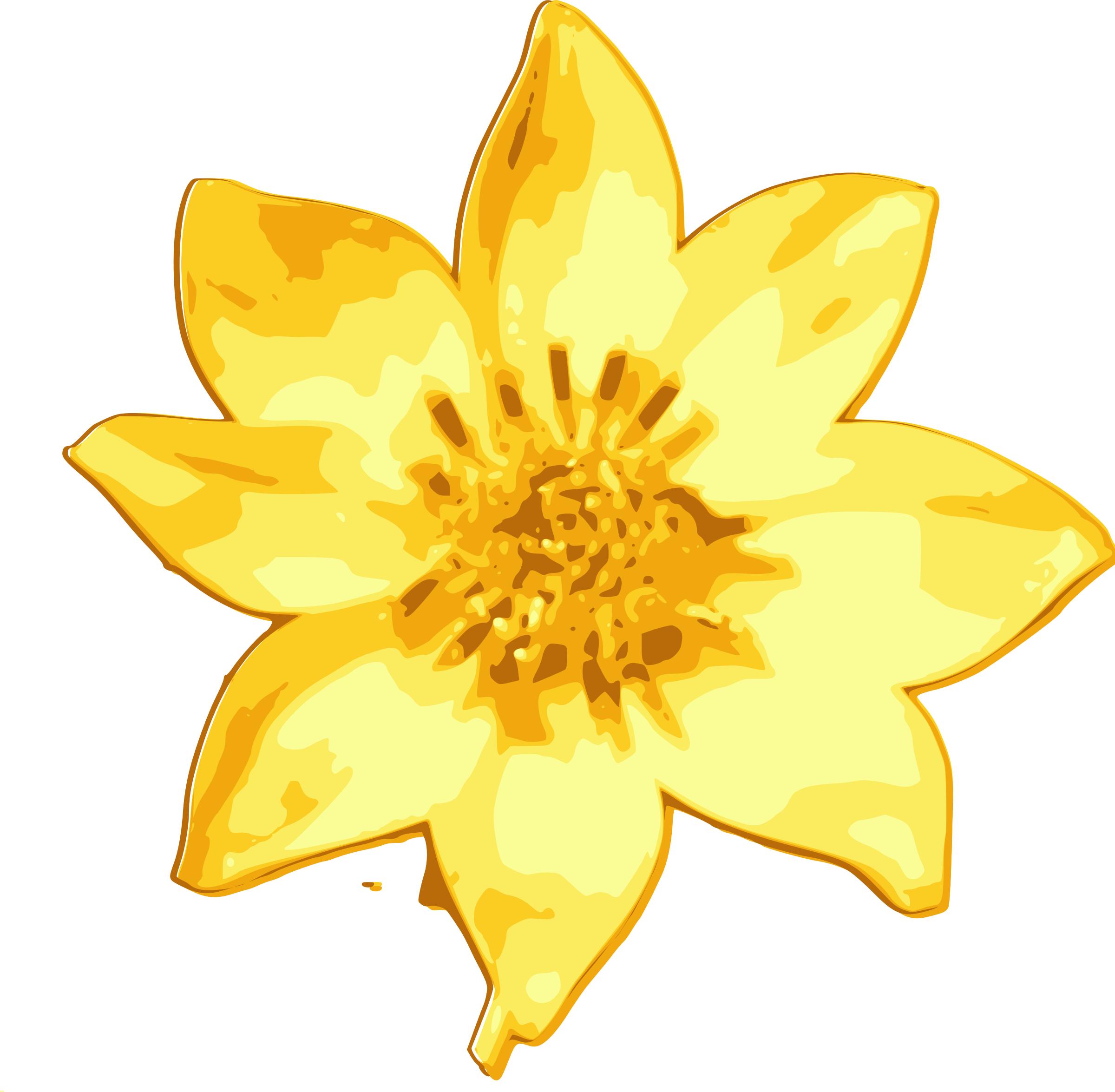 Meskel daisy png