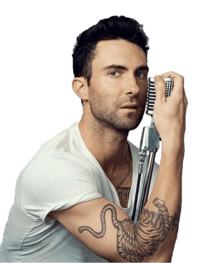 Microphone Adam Levine png icons