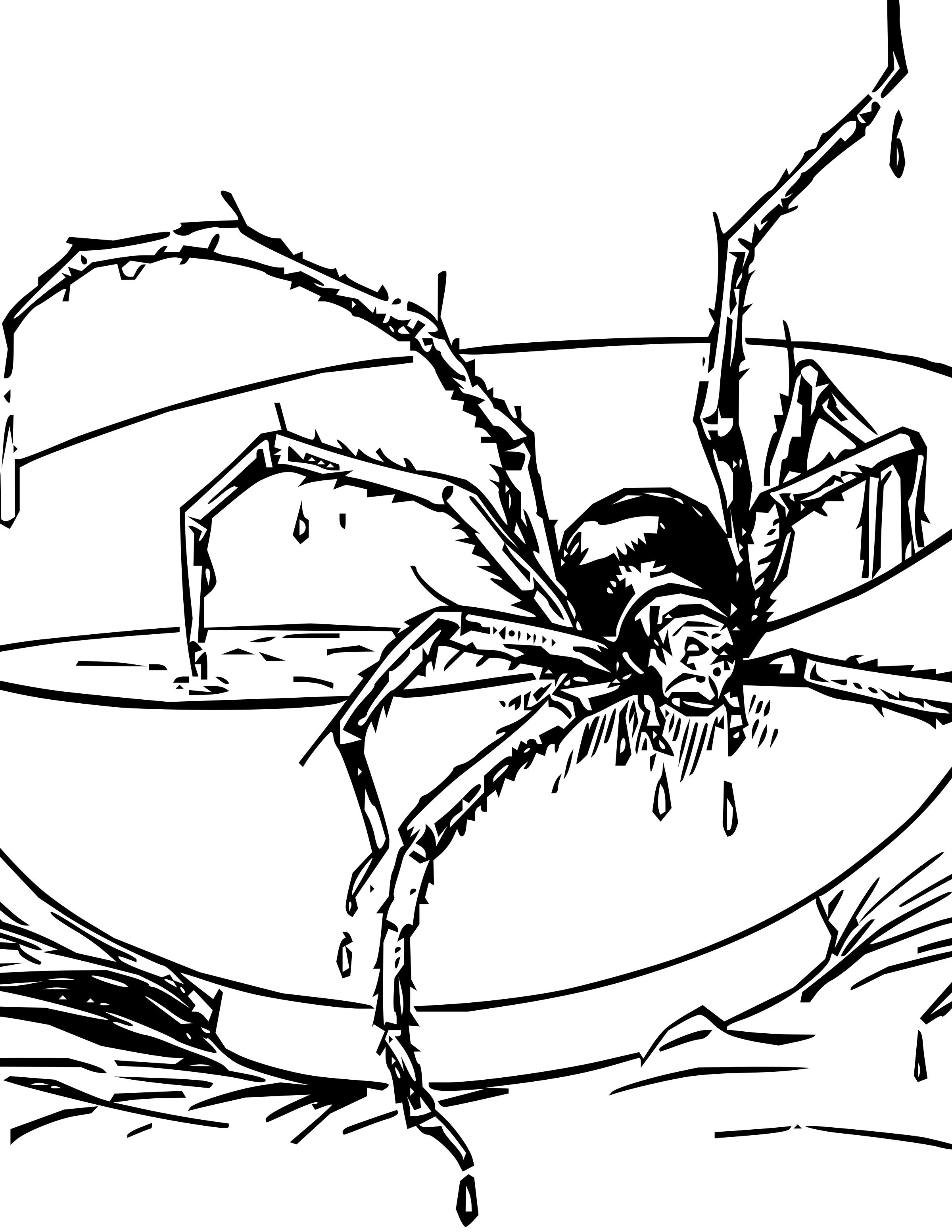 Miss Muffet's Spider png