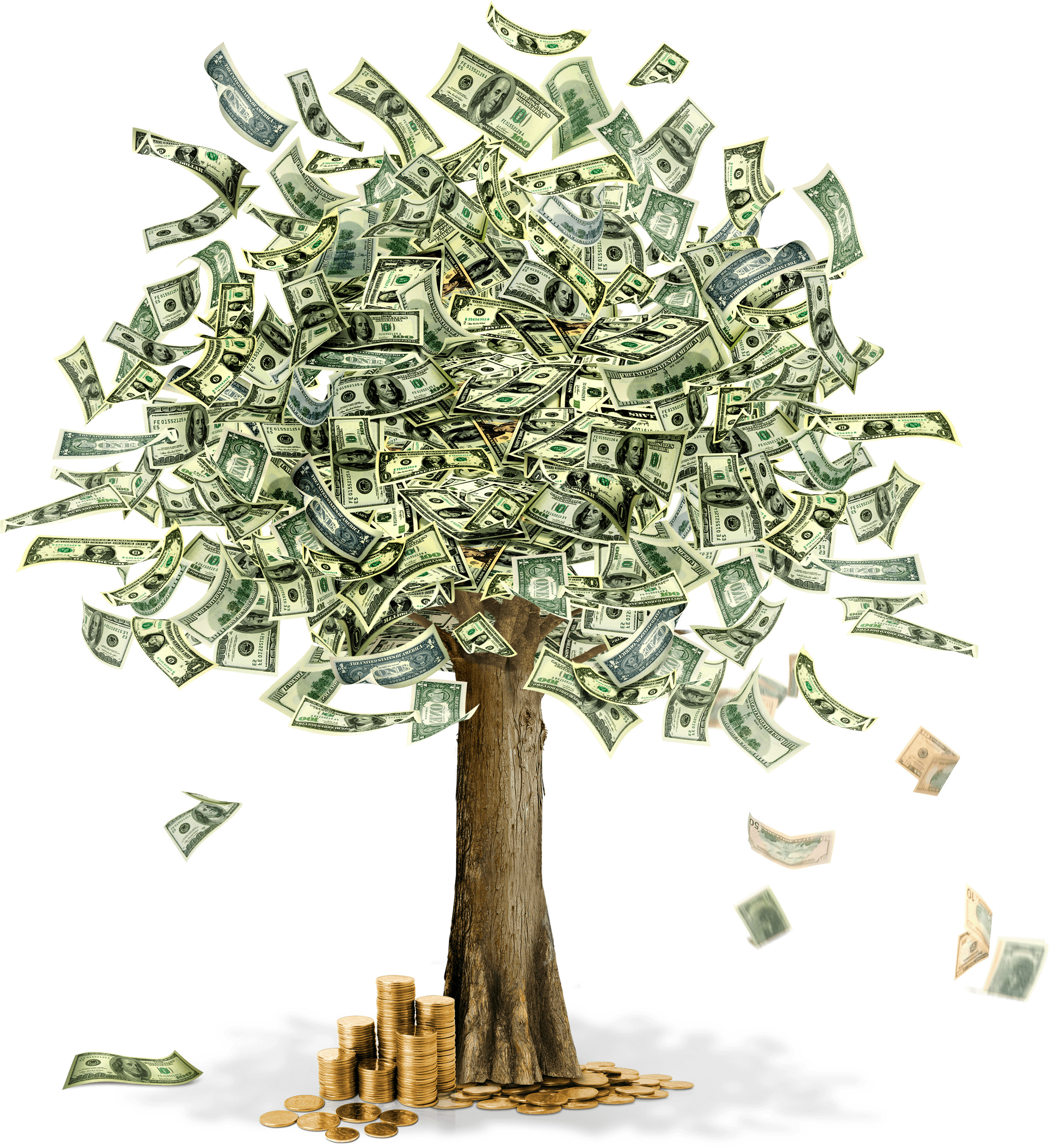 Money Tree icons