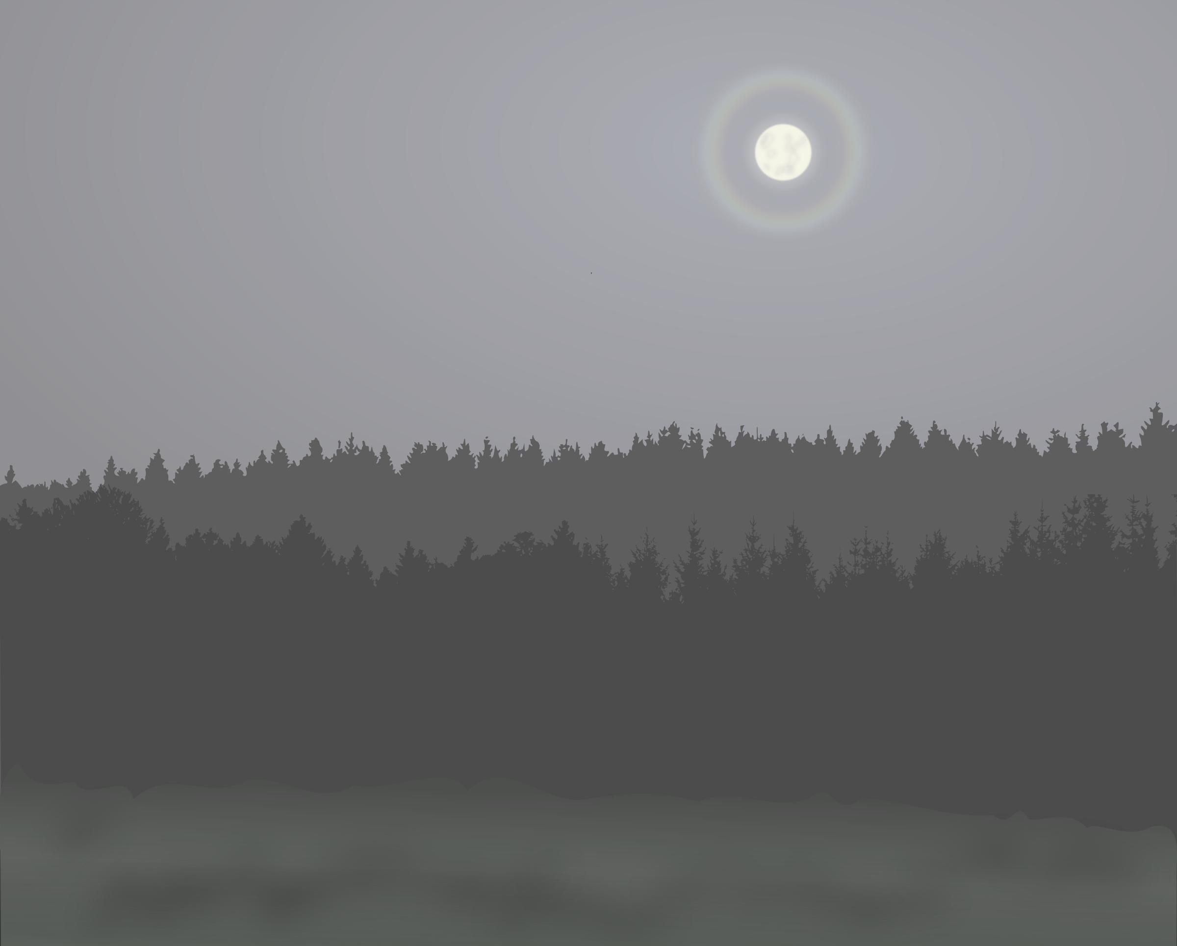 Moonlit night PNG icons