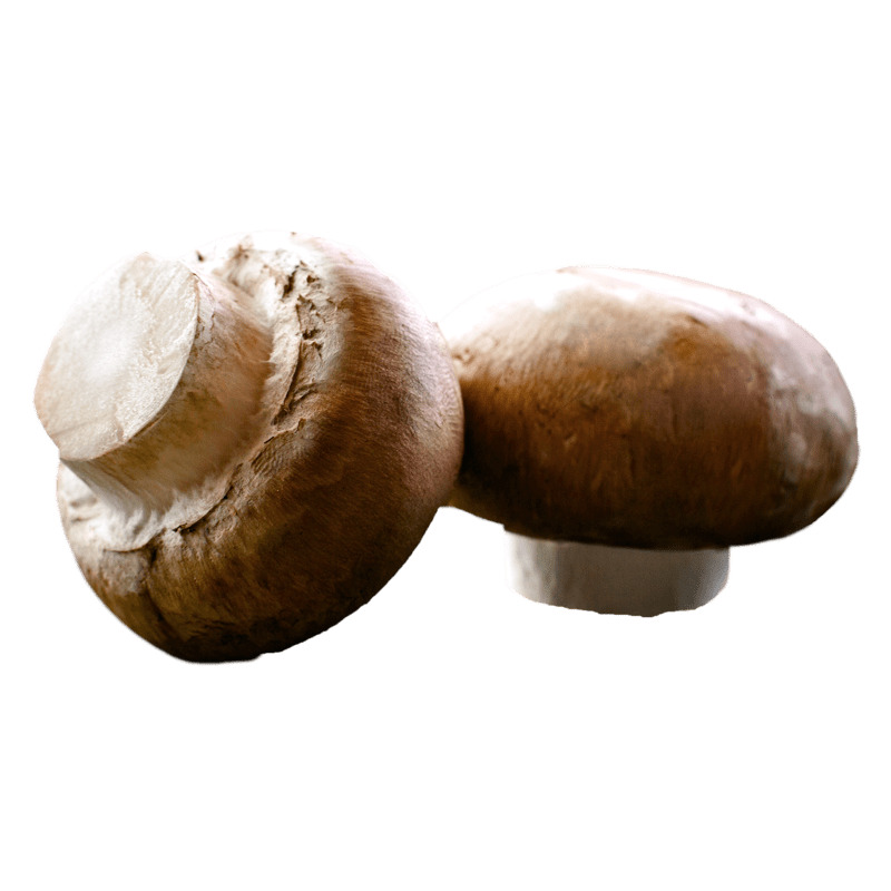 Mushroom Brown icons