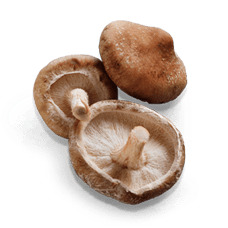 Mushroom Shiitake icons