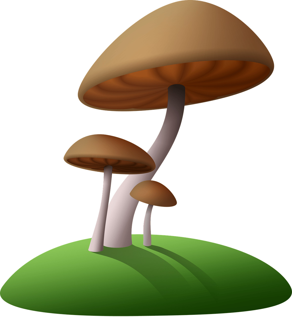 Mushrooms Brown Clipart icons