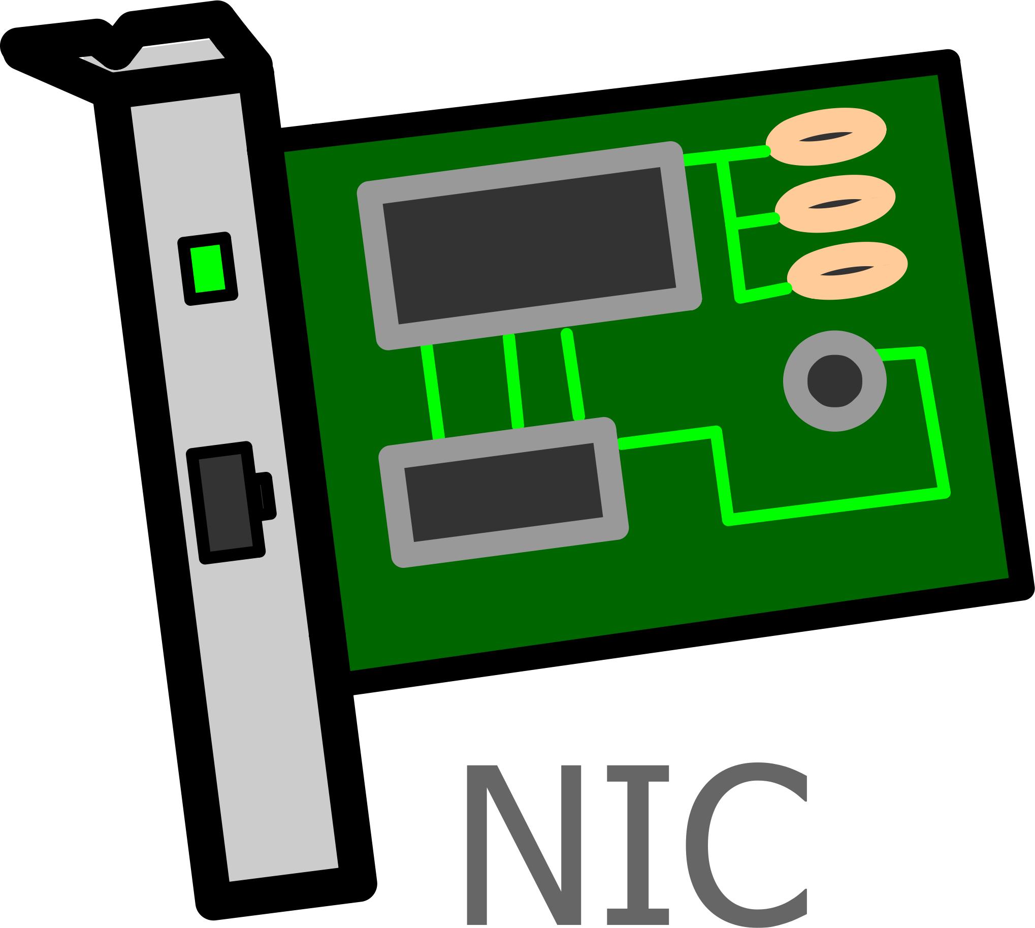 Network Interface Card Labelled png