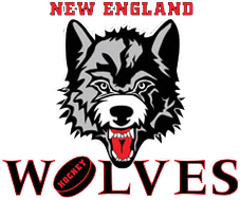 New England Wolves Logo png icons