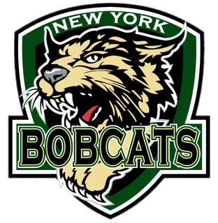 New York Bobcats Logo icons