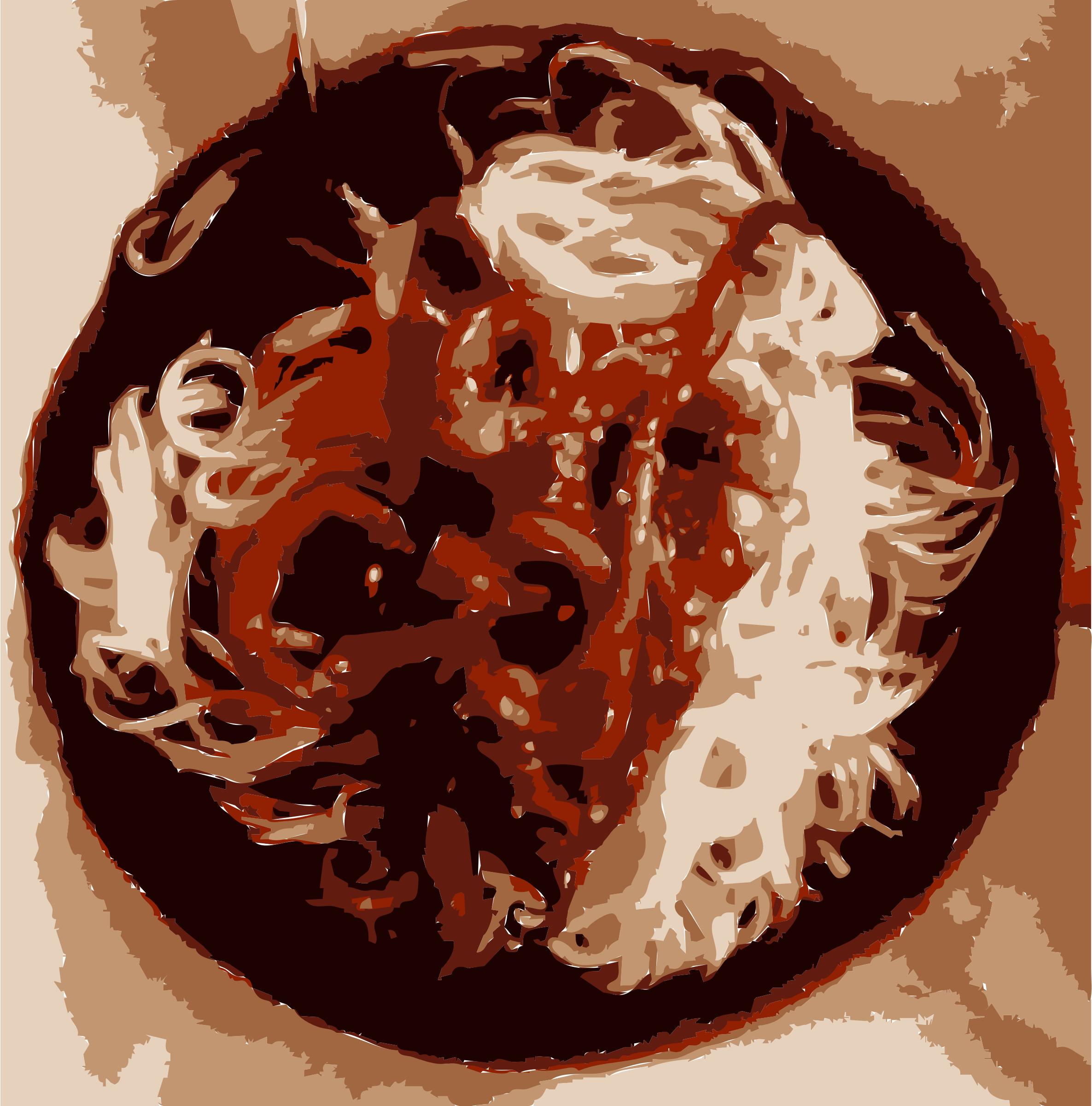 Noodles and squid png