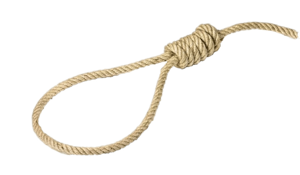 Noose Lying Flat png icons