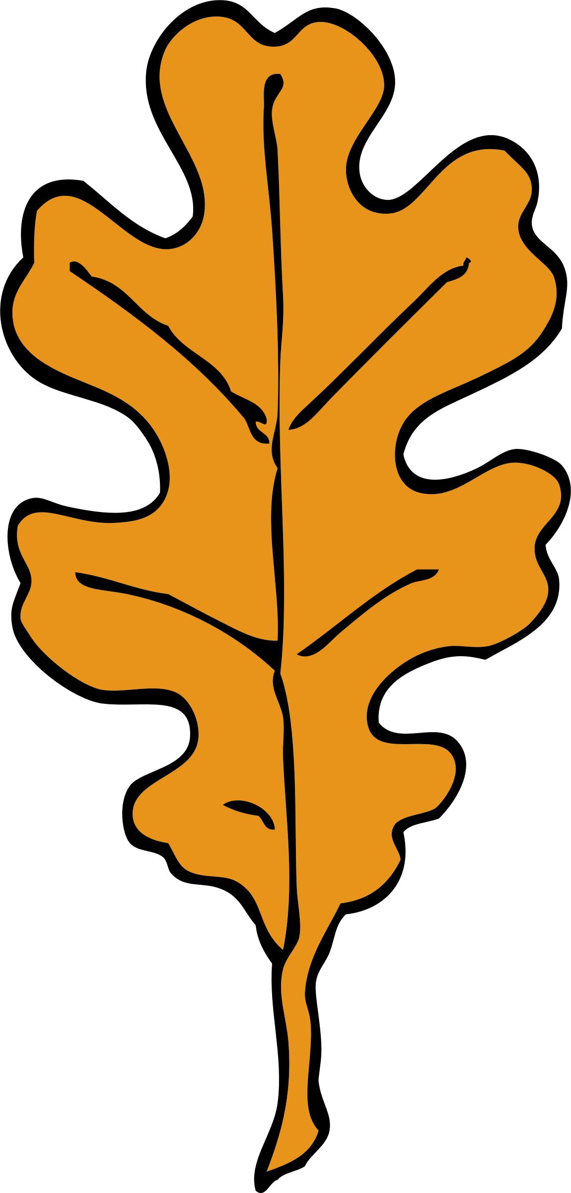 oak leaf png