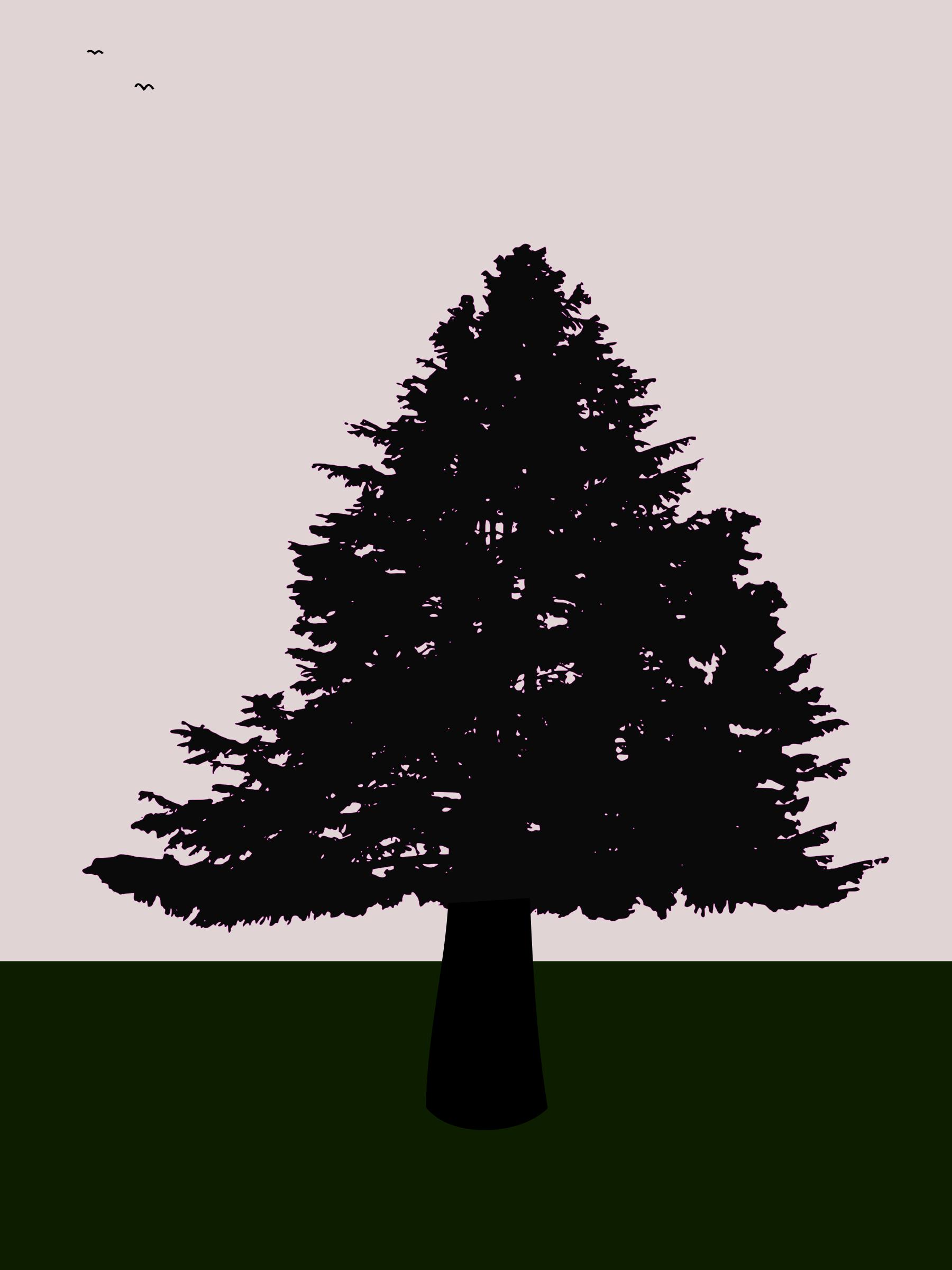 old fir at dusk icons