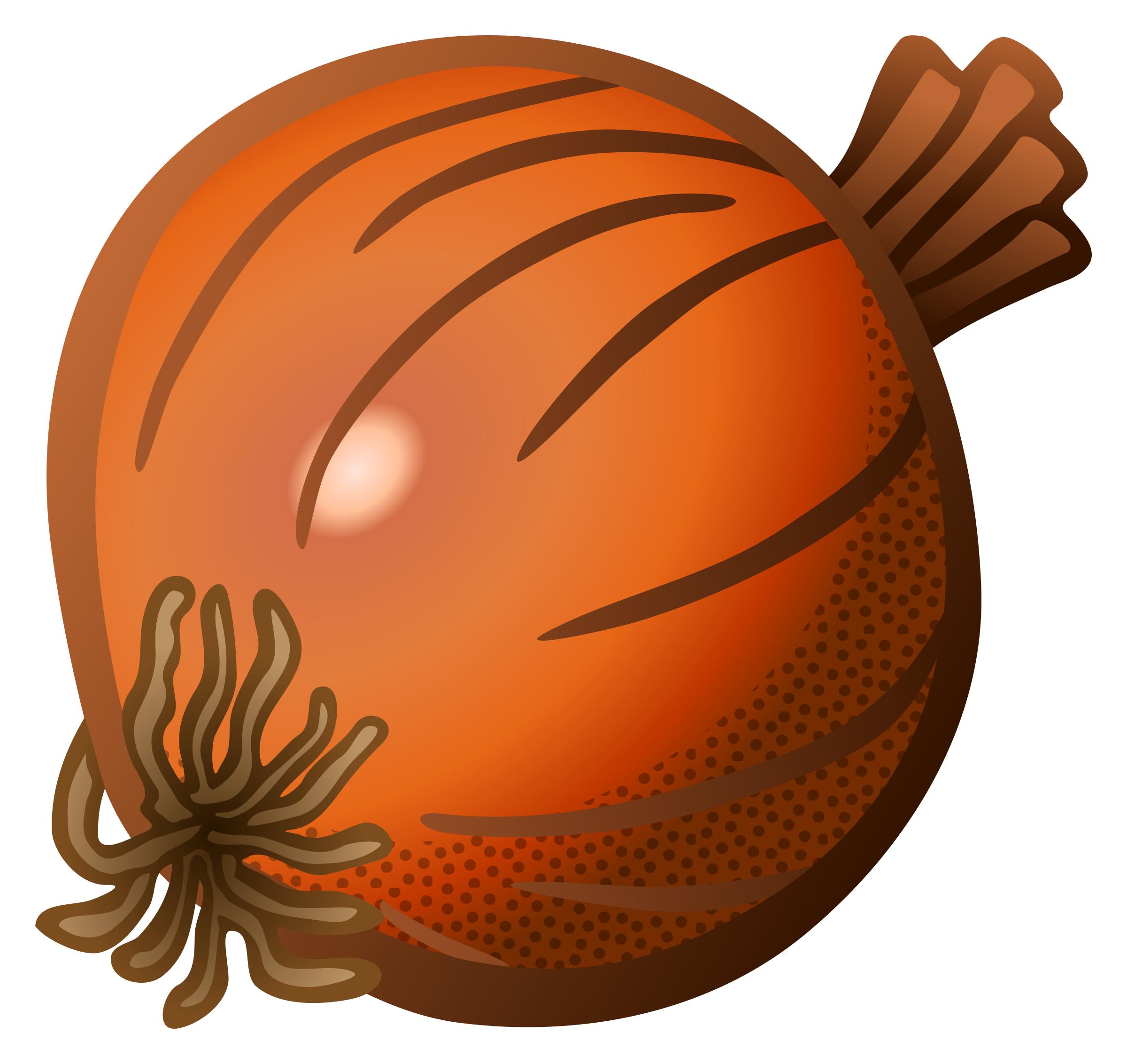 onion - coloured png