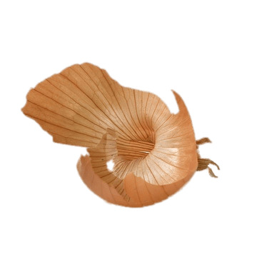 Onion Skin png