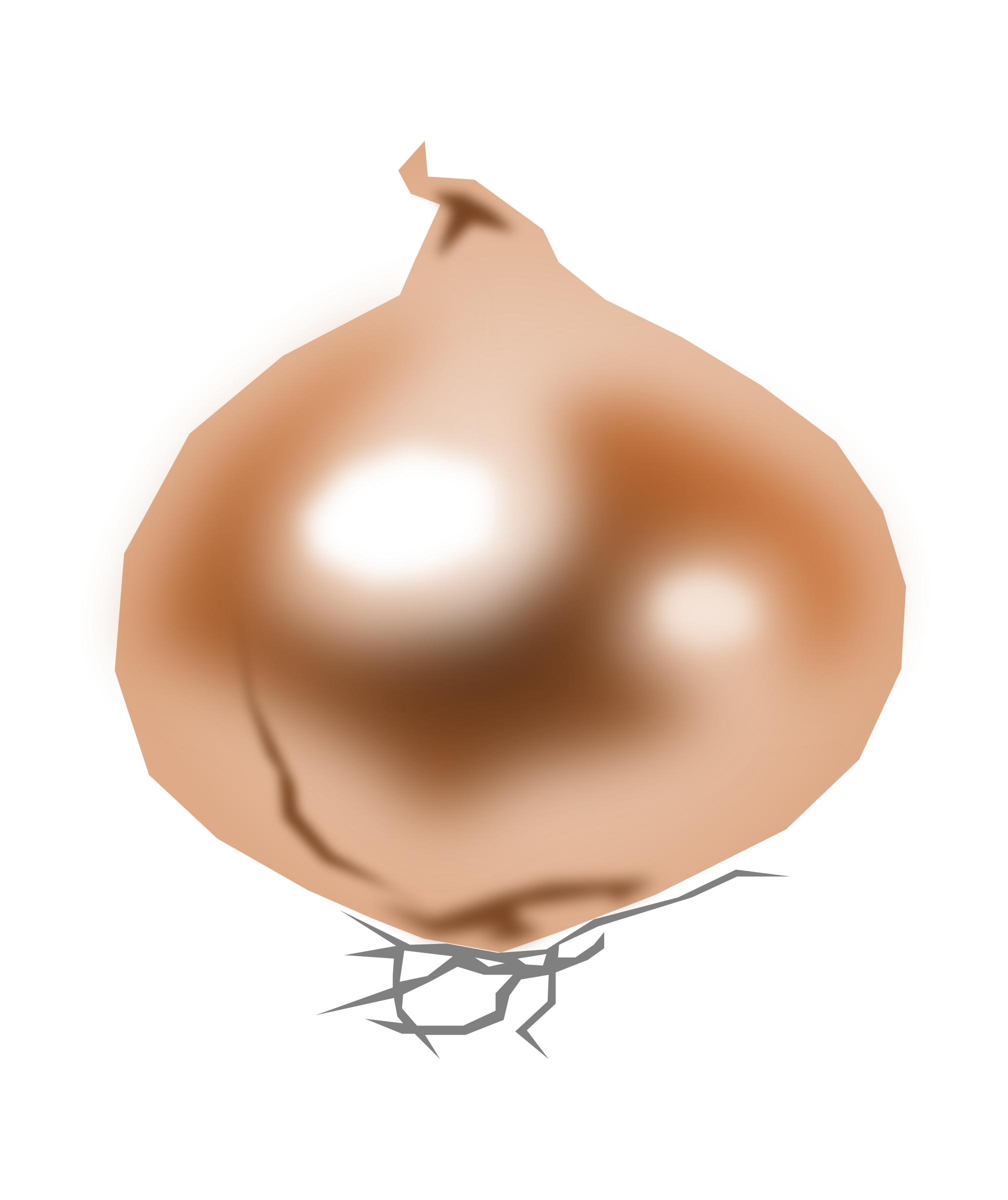 Onion-cebolla PNG icons