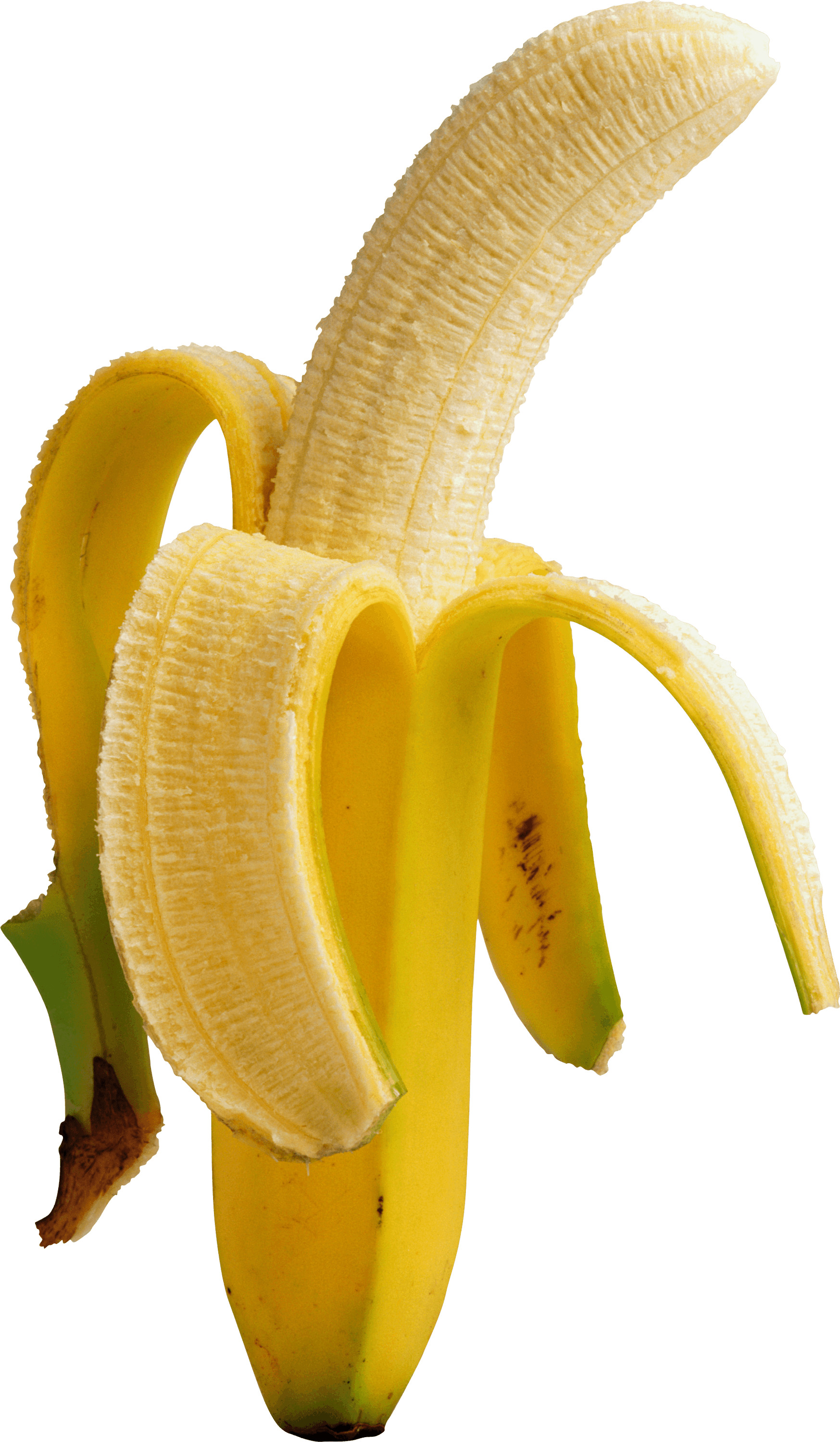 Open Banana PNG icons