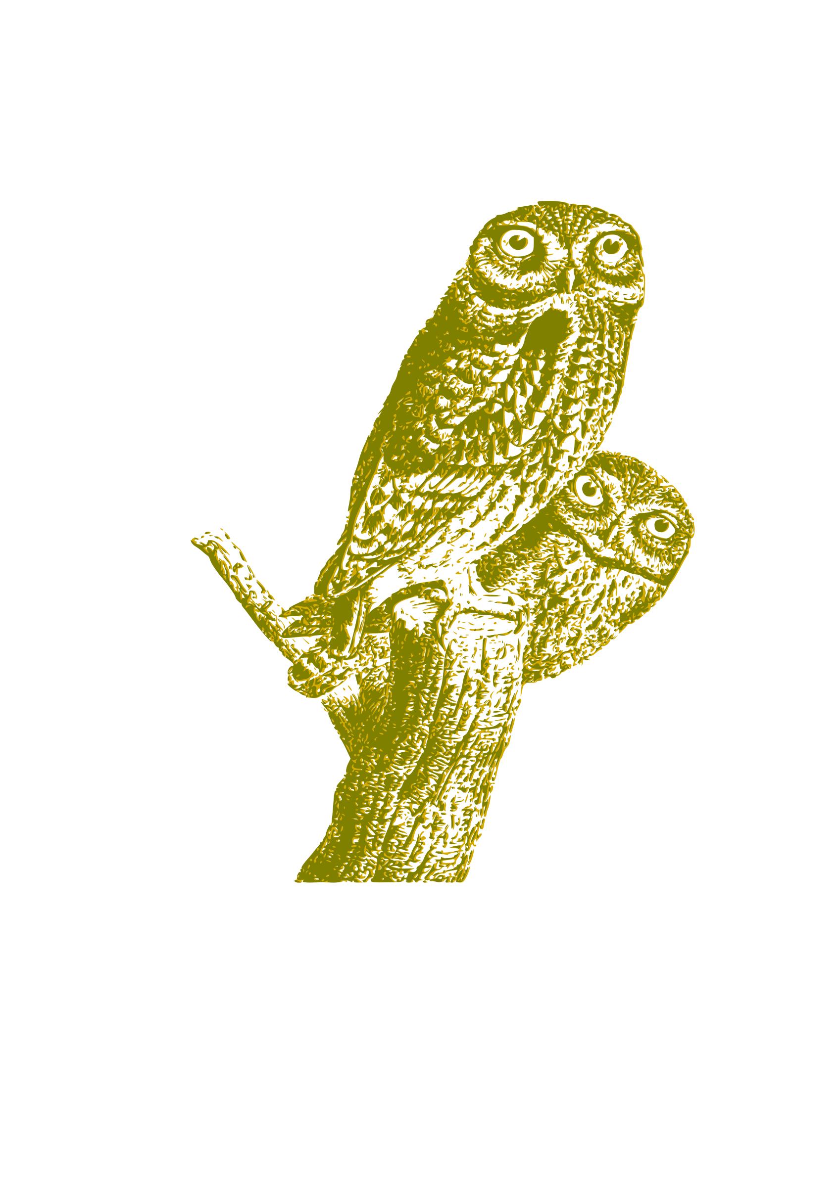 Owls vintage 02 PNG icons